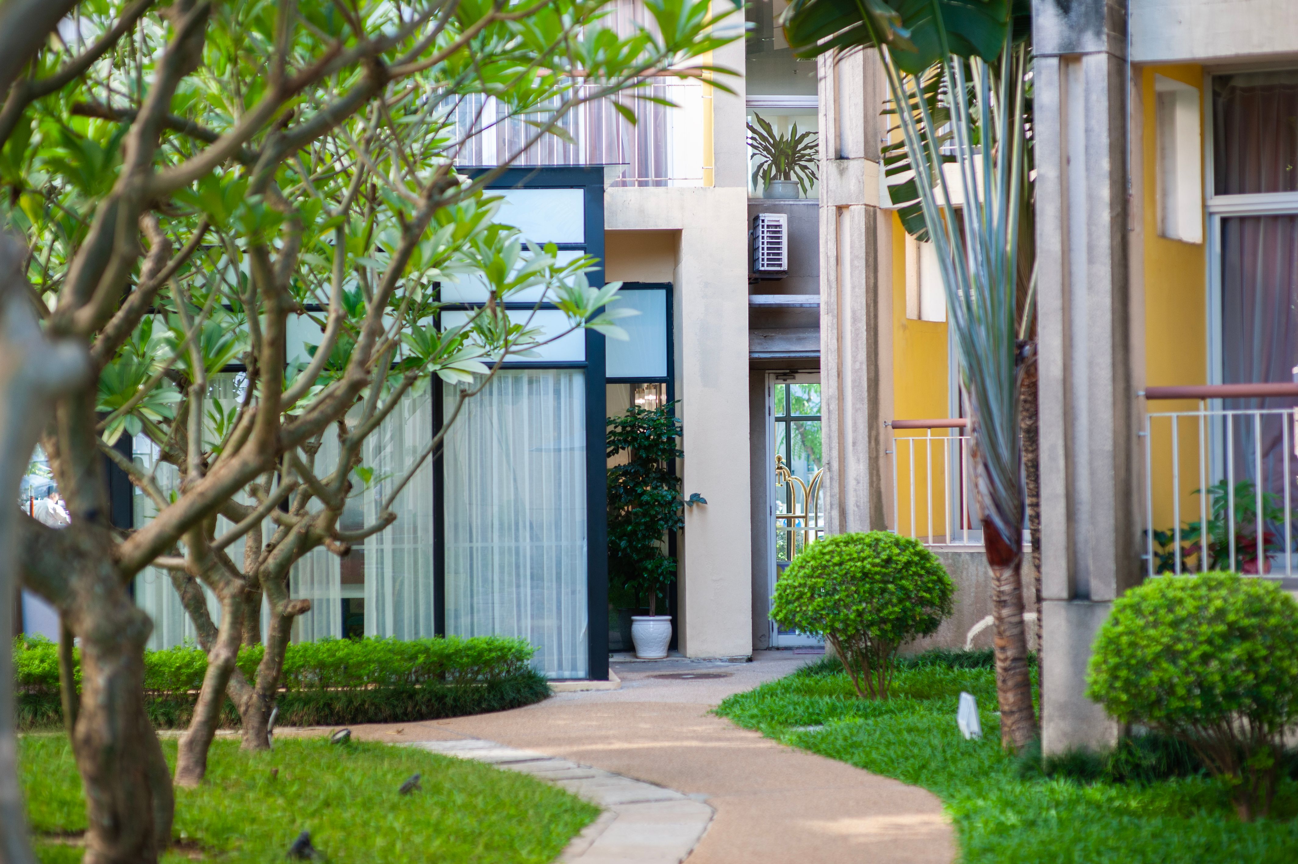 Landscaped common garden path shared by a strata townhouse complex
