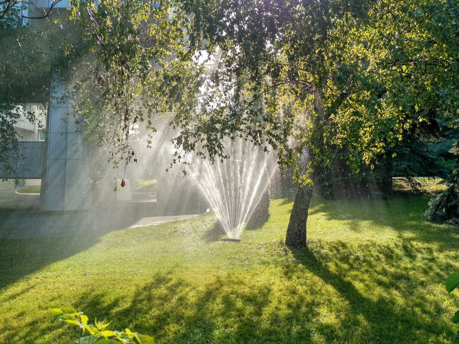 Irrigation sprinkler watering a lush green lawn