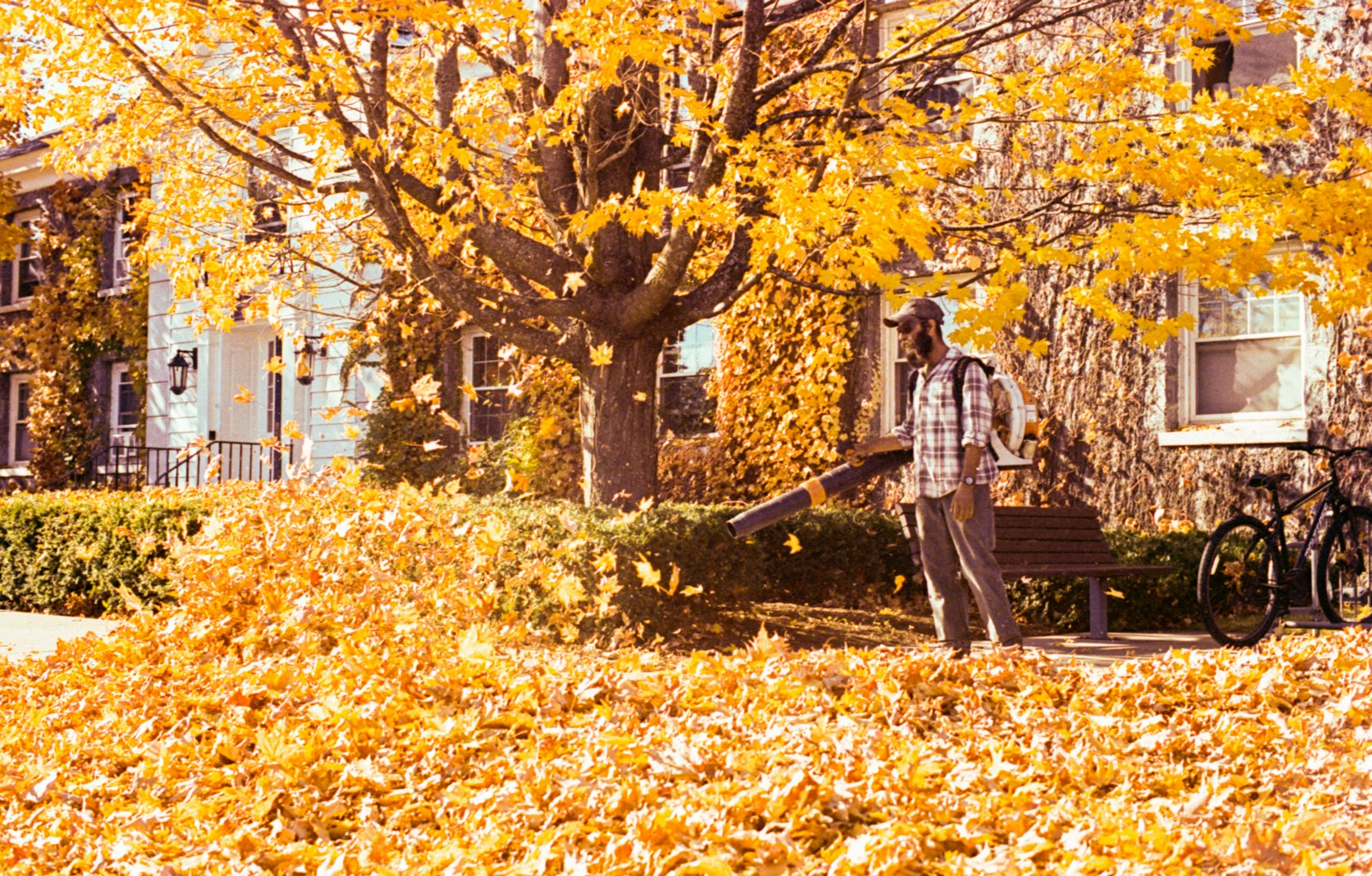 Gardener using a leaf blower to clear autumn leaves