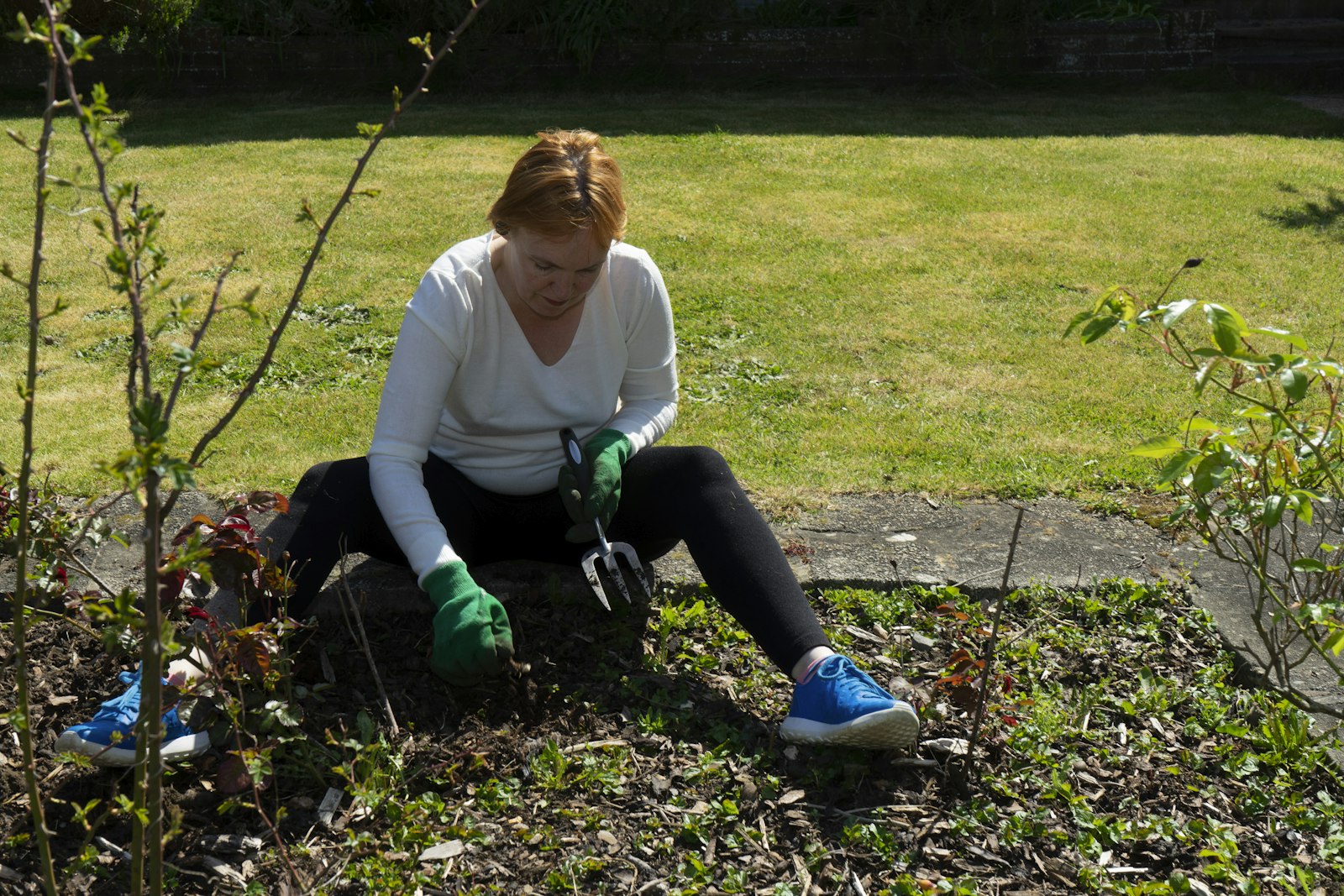 Gardener planting new shrubs into a garden bed