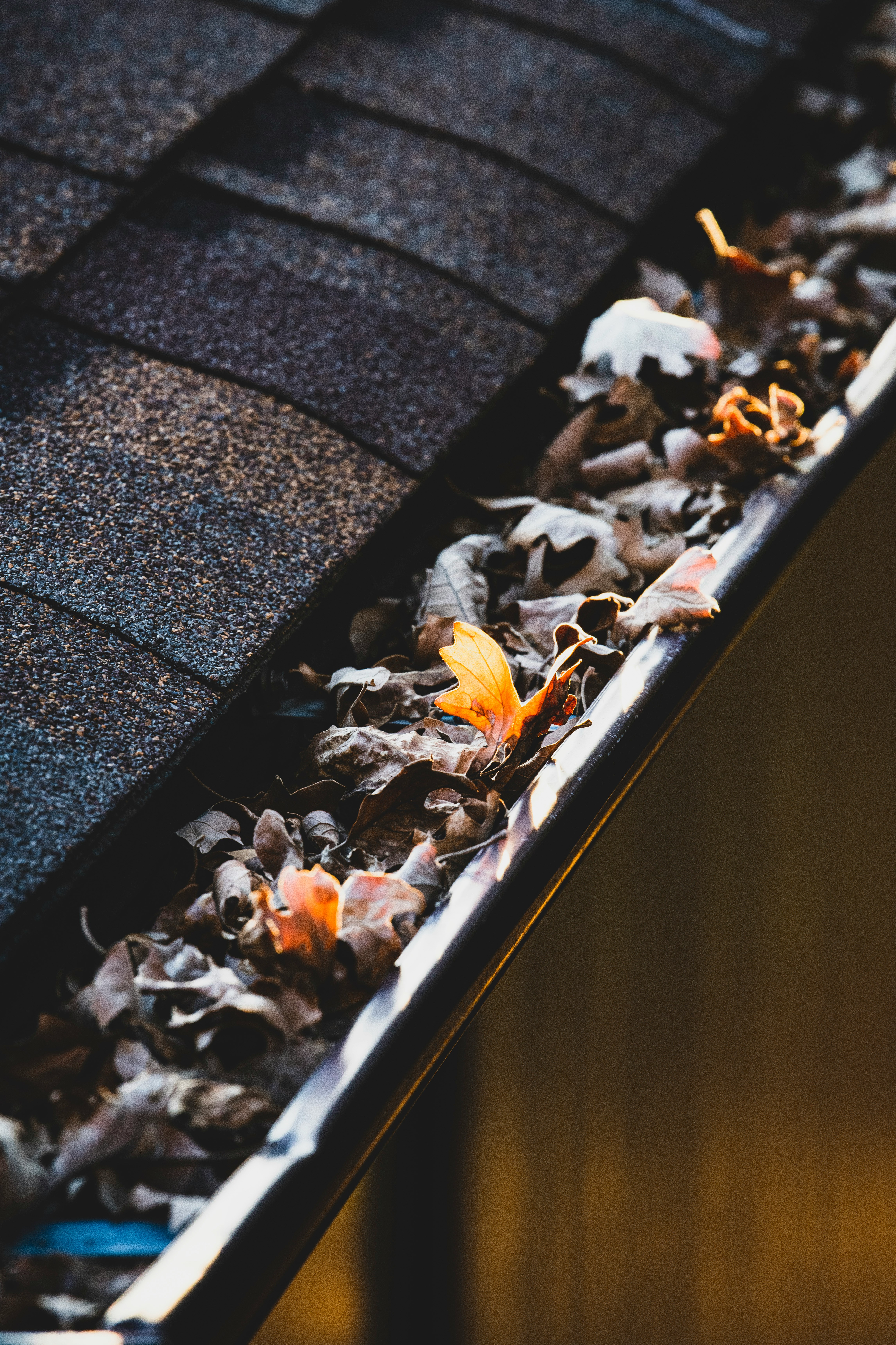 Gutter clogged with leaves and debris on a roofline